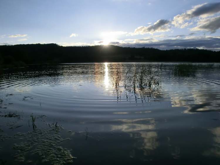 Starkholzbacher See Abendstimmung (Bitte hier klicken um dieses Bild in seiner vollen Größe zu betrachten)