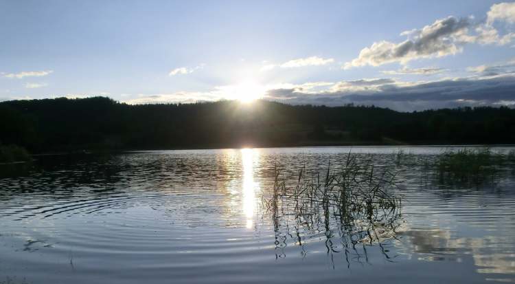 Wasserkreis im Starkholzbacher See (Bitte hier klicken um dieses Bild in seiner vollen Größe zu betrachten)
