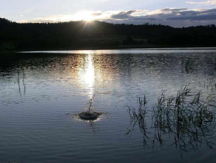 Ein Plupp im Starkholzbacher See (Bitte hier klicken um dieses Bild in seiner vollen Größe zu betrachten)