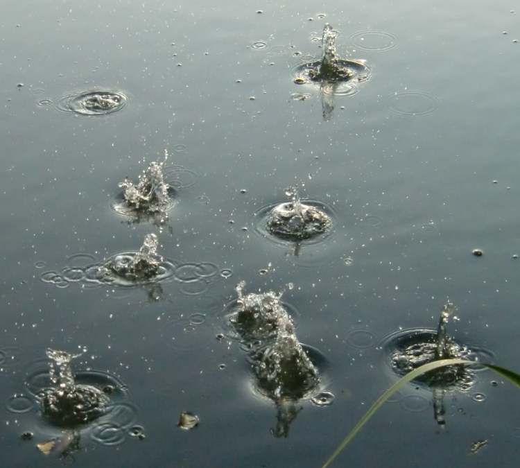 lebendiges Wasser (Bitte hier klicken um dieses Bild in seiner vollen Größe zu betrachten)