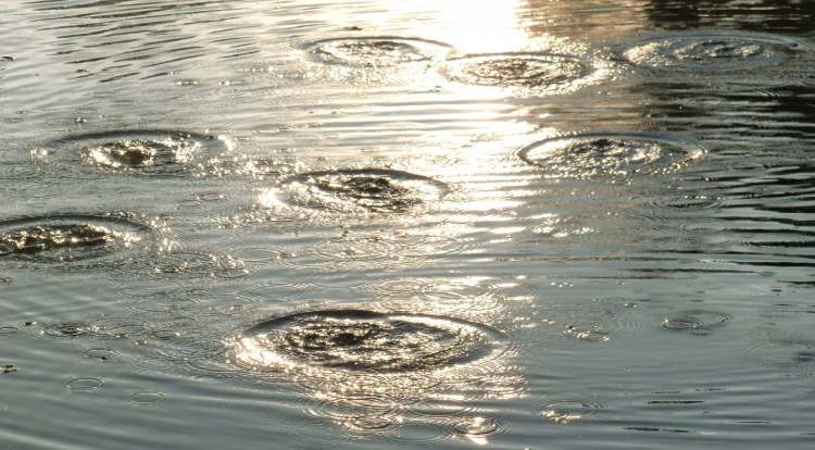 wenn Steine ins Wasser fallen (Bitte hier klicken um dieses Bild in seiner vollen Größe zu betrachten)