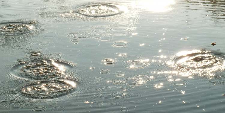 Wasserkreisbild (Bitte hier klicken um dieses Bild in seiner vollen Größe zu betrachten)