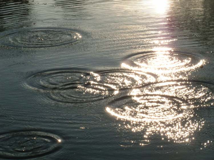 Wasserkreise im Sonnenlicht (Bitte hier klicken um dieses Bild in seiner vollen Größe zu betrachten)