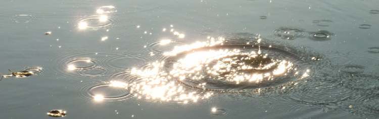 wenn man einen Stein wirft erzeugt man einen Kreis im Wasser (Bitte hier klicken um dieses Bild in seiner vollen Größe zu betrachten)