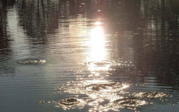 bewegtes Wasser im Abendlicht (Bitte hier klicken um dieses Bild in seiner vollen Größe zu betrachten)