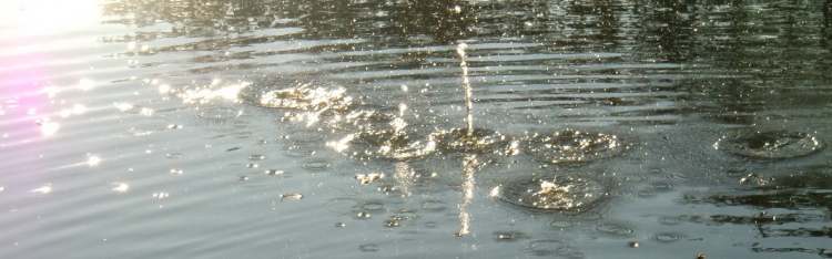 Wasserkreise formieren sich (Bitte hier klicken um dieses Bild in seiner vollen Größe zu betrachten)