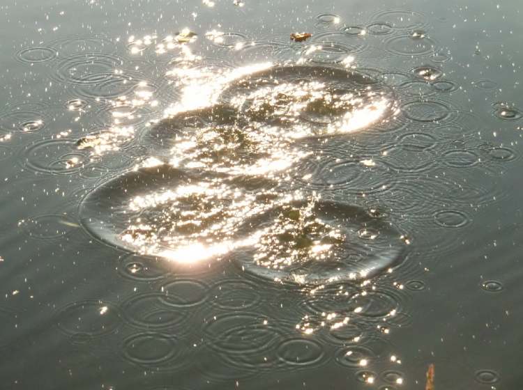 Licht und Wasserkreise (Bitte hier klicken um dieses Bild in seiner vollen Größe zu betrachten)