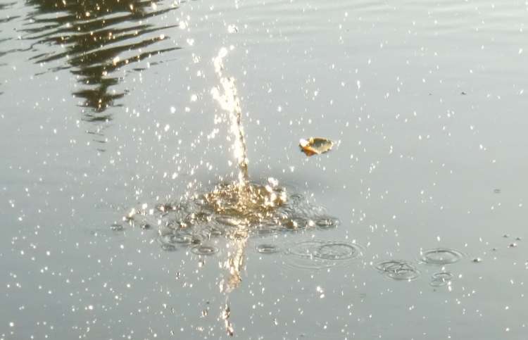 Wassertripfen spritzen in der Luft (Bitte hier klicken um dieses Bild in seiner vollen Größe zu betrachten)