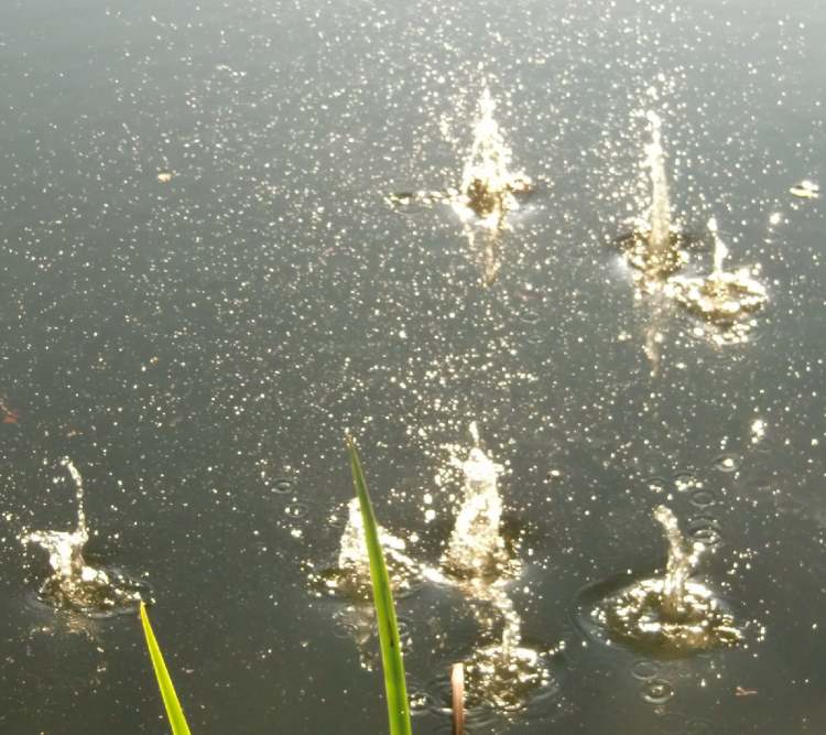 Wassertripfen spritzen in der Luft über dem See (Bitte hier klicken um dieses Bild in seiner vollen Größe zu betrachten)