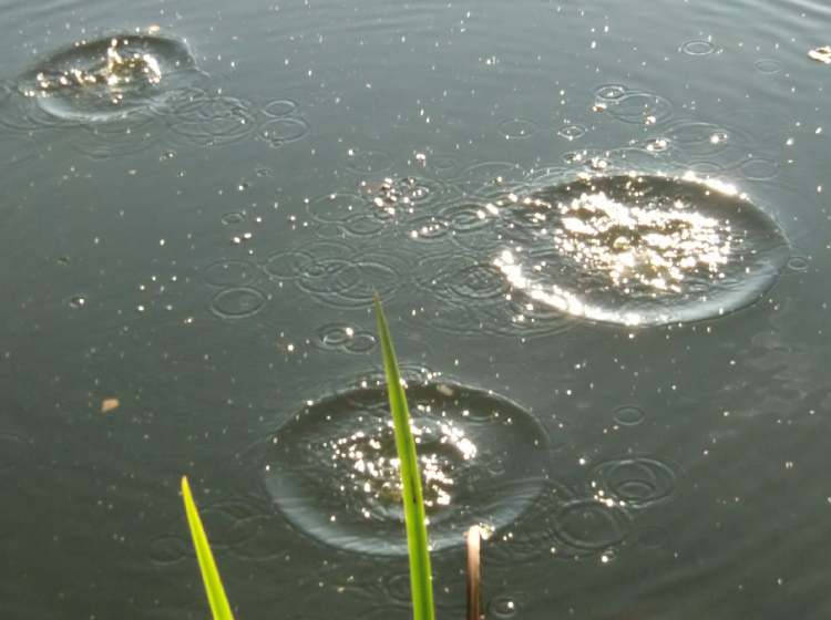 Wasser aufgewühlt (Bitte hier klicken um dieses Bild in seiner vollen Größe zu betrachten)