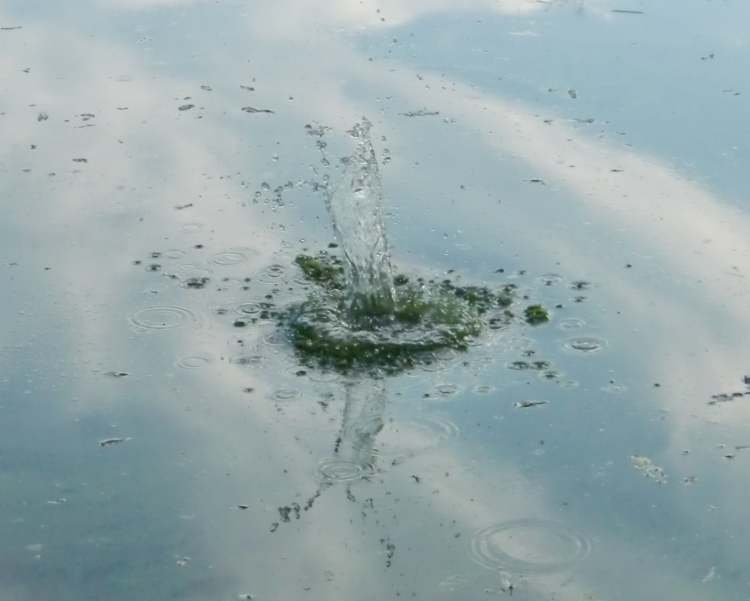 Wasser aufgewühlt mit Himmel (Bitte hier klicken um dieses Bild in seiner vollen Größe zu betrachten)