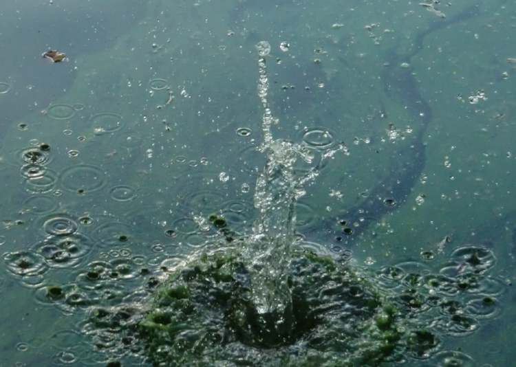 Wasserfontaine im veralgten Wasser (Bitte hier klicken um dieses Bild in seiner vollen Größe zu betrachten)