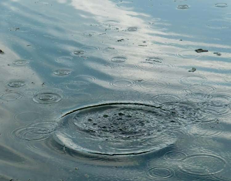 viele kleine Wasserkreise (Bitte hier klicken um dieses Bild in seiner vollen Größe zu betrachten)