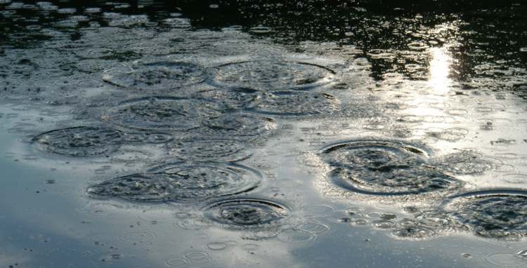 Wasserformation im Abendlicht (Bitte hier klicken um dieses Bild in seiner vollen Größe zu betrachten)