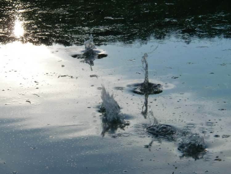 Jemand hat Steine ins Wasser geworfen (Bitte hier klicken um dieses Bild in seiner vollen Größe zu betrachten)