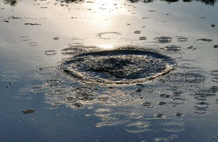 ein großes Plupp im Wasser (Bitte hier klicken um dieses Bild in seiner vollen Größe zu betrachten)