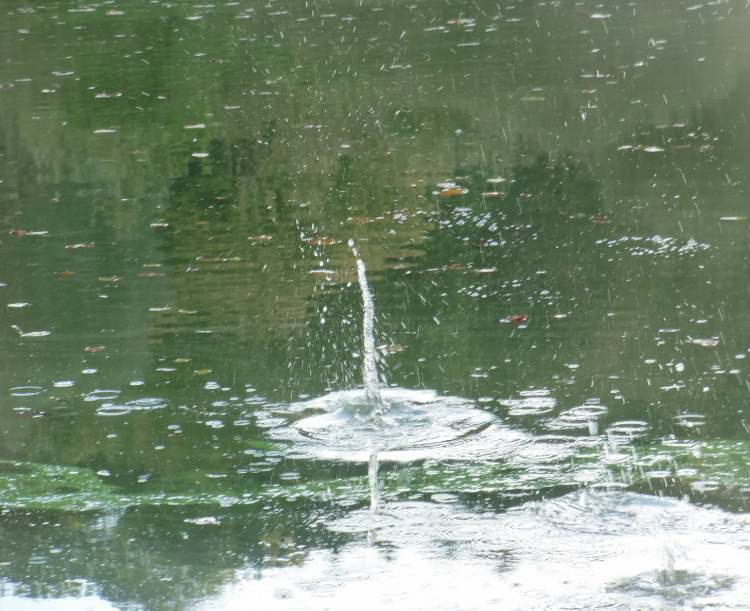 Wasserfontaine im grÃ¼nen Algenwasser (Bitte hier klicken um dieses Bild in seiner vollen Größe zu betrachten)