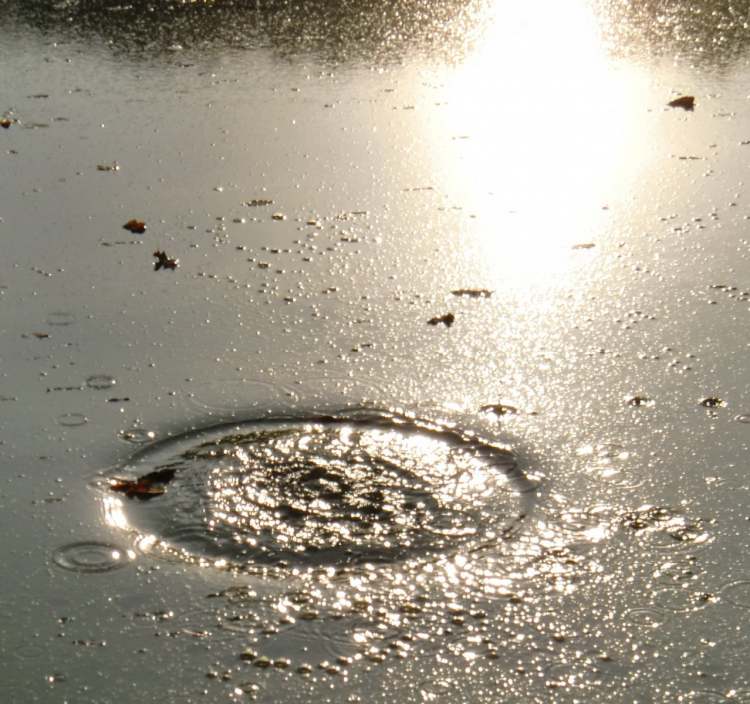 Wasserkreisbild mit Sonnenspiegelung (Bitte hier klicken um dieses Bild in seiner vollen Größe zu betrachten)