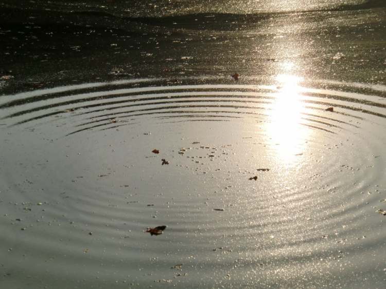 Wasserkreisbild im Algensee (Bitte hier klicken um dieses Bild in seiner vollen Größe zu betrachten)