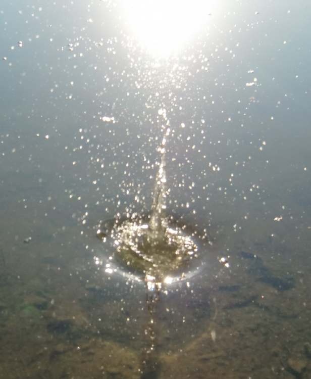 Wasserspritzbild im Sonnenlicht (Bitte hier klicken um dieses Bild in seiner vollen Größe zu betrachten)