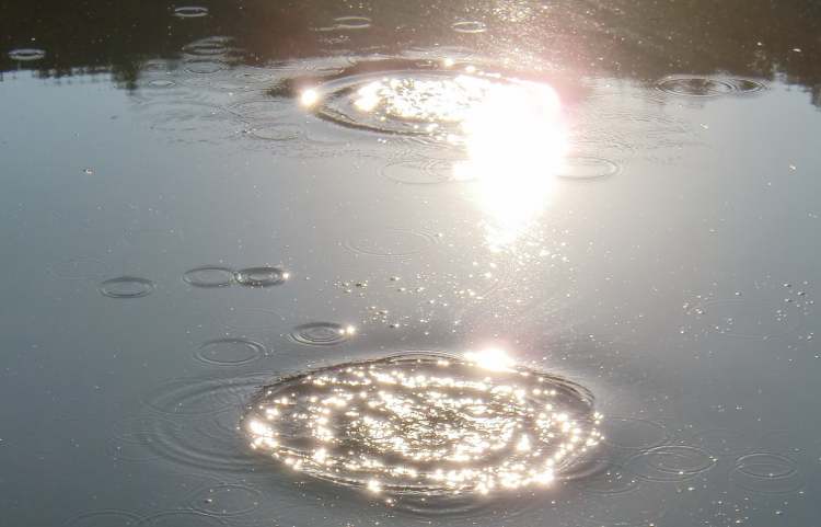 Zwei Wasserkreise mit Sonnenlicht (Bitte hier klicken um dieses Bild in seiner vollen Größe zu betrachten)