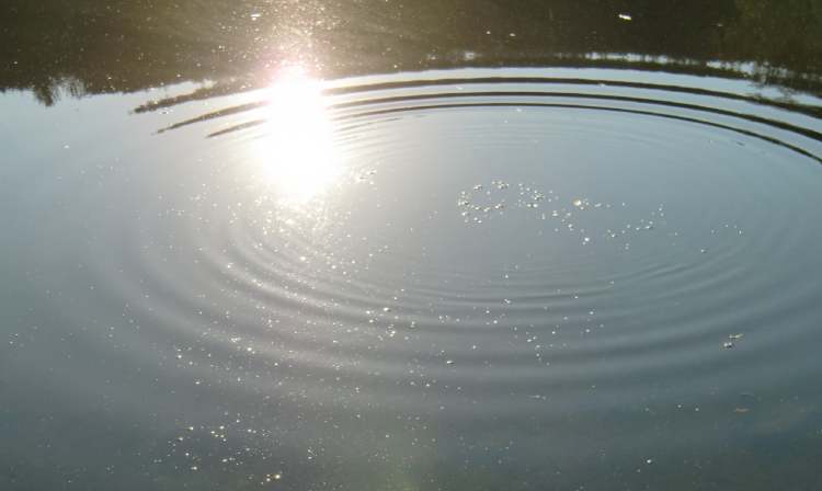 Wasserkreise sind heilig (Bitte hier klicken um dieses Bild in seiner vollen Größe zu betrachten)