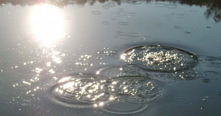 Wasser ist ein heiliges Element weil wir alle aus dem wasser kommen (Bitte hier klicken um dieses Bild in seiner vollen Größe zu betrachten)