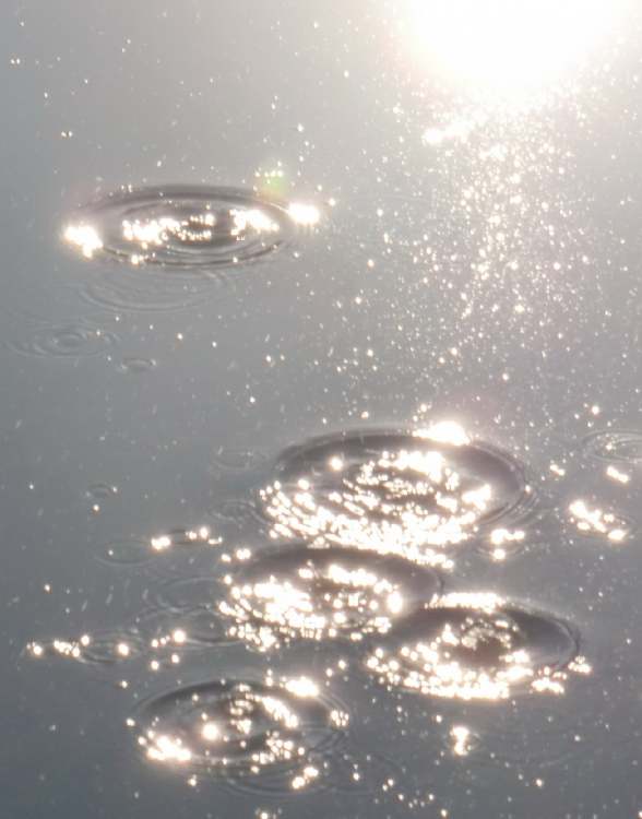 Wasserkreise im gleißenden Sonnenlicht (Bitte hier klicken um dieses Bild in seiner vollen Größe zu betrachten)