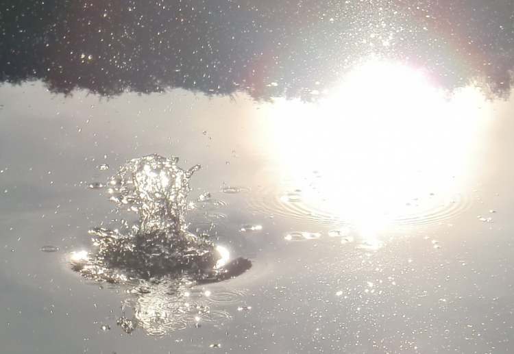 Wasserform im See mit Sonnenspiegelung (Bitte hier klicken um dieses Bild in seiner vollen Größe zu betrachten)