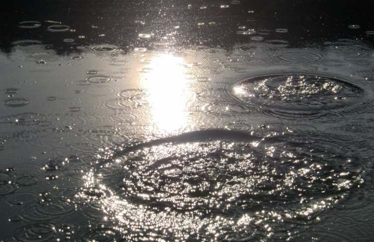 Wassertrichterabdrücke im See (Bitte hier klicken um dieses Bild in seiner vollen Größe zu betrachten)