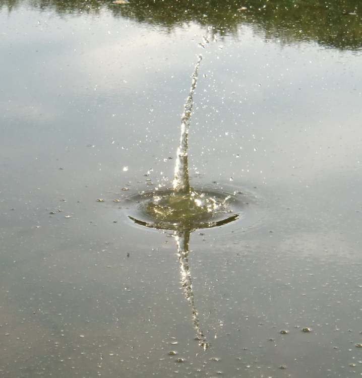 der angeschrägte Wassertrichter nach dem Steinwurf (Bitte hier klicken um dieses Bild in seiner vollen Größe zu betrachten)