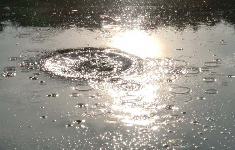 Wassertrichter mit Ringen im Sonnenlicht (Bitte hier klicken um dieses Bild in seiner vollen Größe zu betrachten)