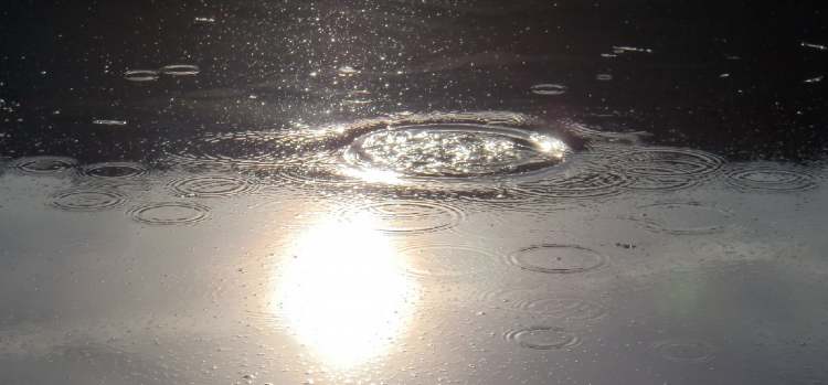 der lebendige Wasserkreis im Angesicht der Sonne (Bitte hier klicken um dieses Bild in seiner vollen Größe zu betrachten)