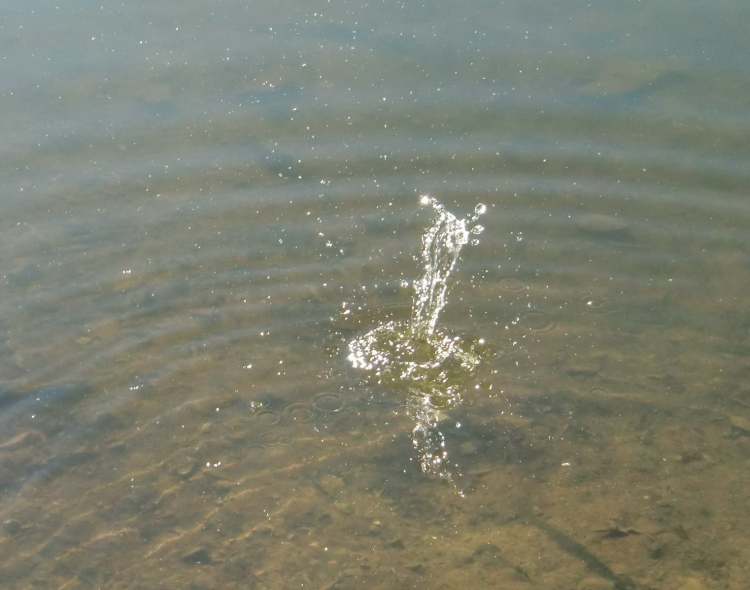 hier sieht man den Schatten der Wasserfontaine am Boden vom See (Bitte hier klicken um dieses Bild in seiner vollen Größe zu betrachten)