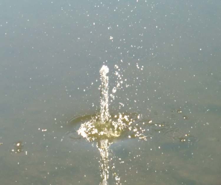 kerzengerade Wasserbewegung nach oben (Bitte hier klicken um dieses Bild in seiner vollen Größe zu betrachten)