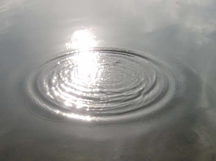 Wasserkreise bei trübem Himmel (Bitte hier klicken um dieses Bild in seiner vollen Größe zu betrachten)