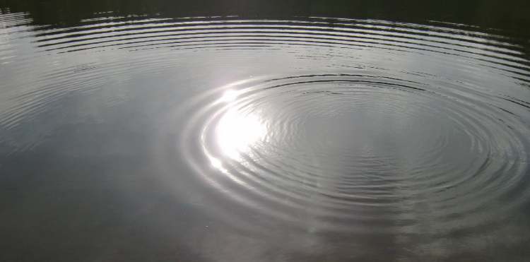 Wasserkreise breiten sich im See aus (Bitte hier klicken um dieses Bild in seiner vollen Größe zu betrachten)