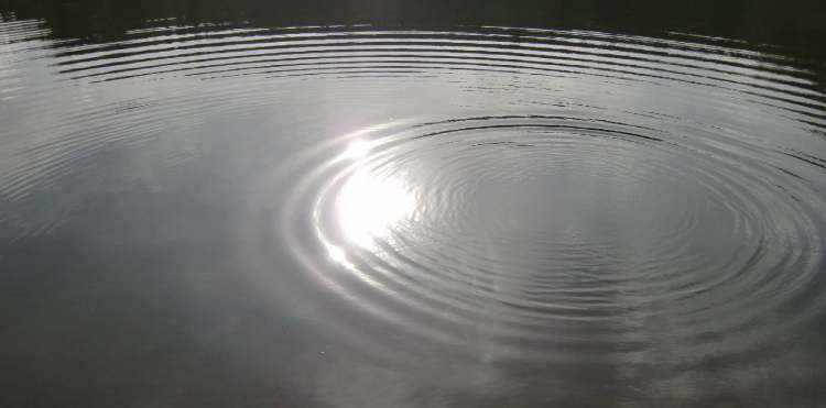 Wasserkreise breiten sich im See aus (Bitte hier klicken um dieses Bild in seiner vollen Größe zu betrachten)