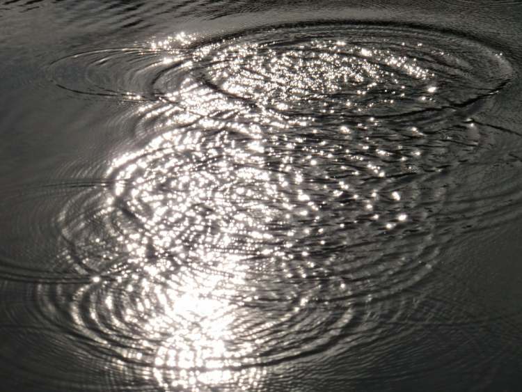 Wasserkreisewirrwarr im Sonnenlicht (Bitte hier klicken um dieses Bild in seiner vollen Größe zu betrachten)