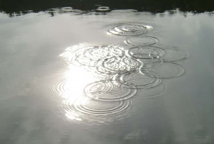 Wasserkreise mit Abendlichtspiegelung (Bitte hier klicken um dieses Bild in seiner vollen Größe zu betrachten)