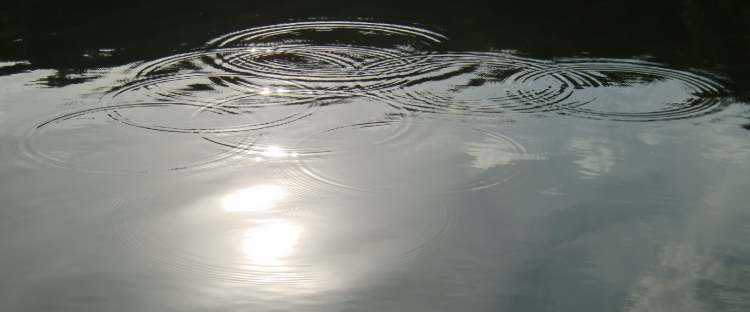 Wasserkreise am Abend (Bitte hier klicken um dieses Bild in seiner vollen Größe zu betrachten)