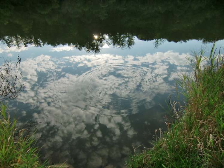 Wasserkreis mit Wolkenspiegelung (Bitte hier klicken um dieses Bild in seiner vollen Größe zu betrachten)