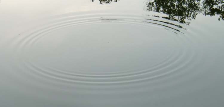 die Harmonie von Wasserkreisen (Bitte hier klicken um dieses Bild in seiner vollen Größe zu betrachten)