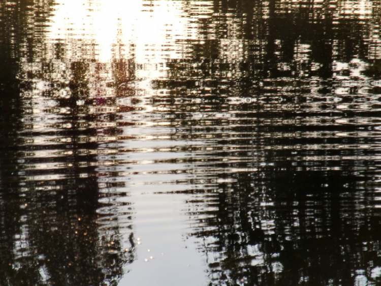 Wellen wie Musik im Wasser (Bitte hier klicken um dieses Bild in seiner vollen Größe zu betrachten)