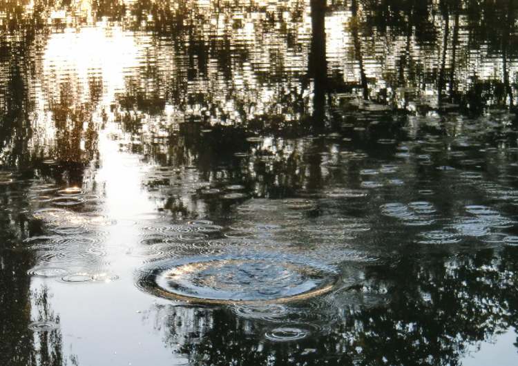 Wassertrichter mit vielen kleinen Kreisen im abendlichen See (Bitte hier klicken um dieses Bild in seiner vollen Größe zu betrachten)