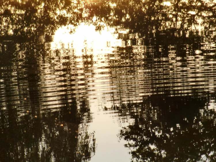 die Harmonie von Wasserwellen im abendlichen See (Bitte hier klicken um dieses Bild in seiner vollen Größe zu betrachten)