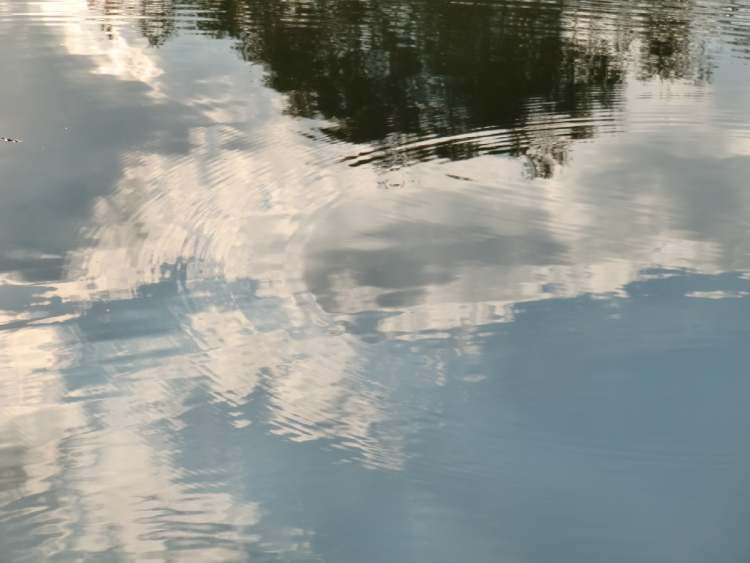 leichte Interferenzen im Wasser (Bitte hier klicken um dieses Bild in seiner vollen Größe zu betrachten)