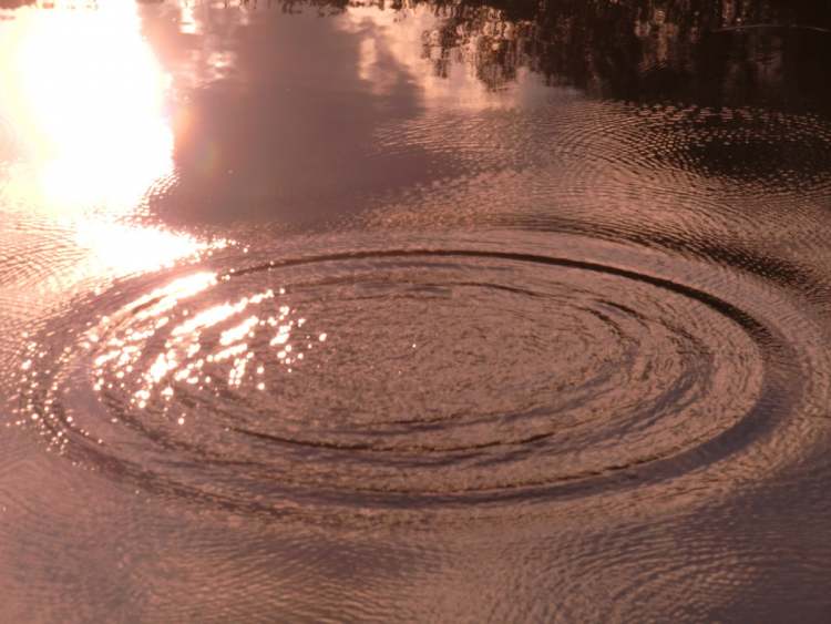 Wasserkreis im rötlichen Abendlicht (Bitte hier klicken um dieses Bild in seiner vollen Größe zu betrachten)