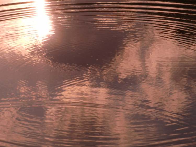 Wasserkreise im rötlichen Abendlicht (Bitte hier klicken um dieses Bild in seiner vollen Größe zu betrachten)