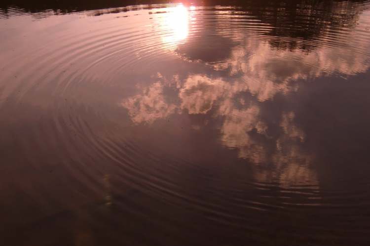 nur bei Windstille ergeben sich solch harmonische Wasserkreisbilder (Bitte hier klicken um dieses Bild in seiner vollen Größe zu betrachten)